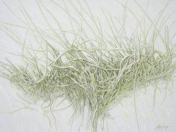 Light II 90x120 cm
